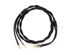 Shunyata Theta Speaker Cable