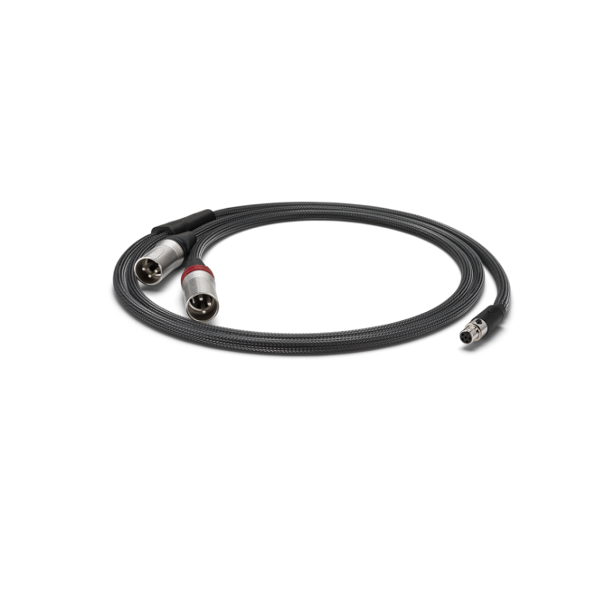 Astell&Kern 5-pin Mini XLR to 3-pin XLR Cable - PEE41