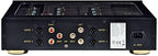 DS Audio DS-W2 (DSW2)