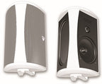 Definitive Technology AW 5500 (AW5500) Outdoor Speakers
