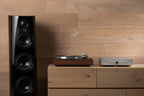 Linn Klimax Radikal