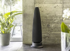 Meridian M6 - DSP Active Loudspeaker