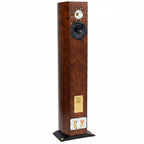 Triangle Magellan Concerto Loudspeakers (pair) - 2nd User