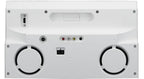 Pioneer XW-NAV1