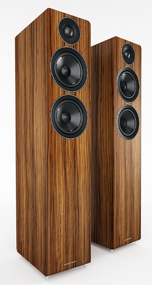 Acoustic Energy AE109 Floorstanding Speakers