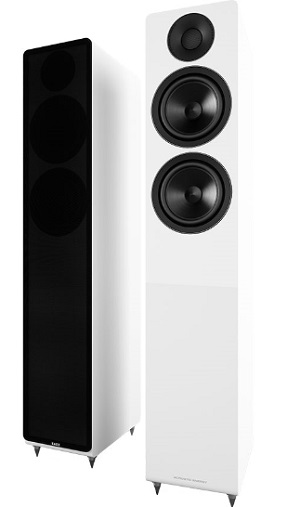 Acoustic Energy AE309 Floorstanding Speakers