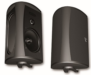 Definitive Technology AW 5500 (AW5500) Outdoor Speakers