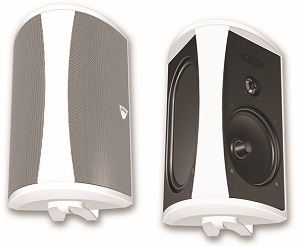 Definitive Technology AW 6500 (AW6500) Outdoor Speakers