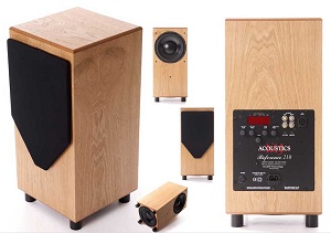 MJ Acoustics Reference 210 Subwoofer