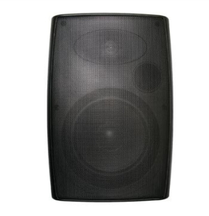 Current Audio OC Series OC65 6.5" Outdoor Cabinet Speaker