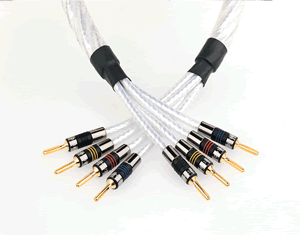 QED Genesis Bi-Wire Loudspeaker Cable