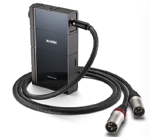 Astell&Kern 5-pin Mini XLR to 3-pin XLR Cable - PEE41