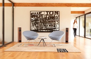 PMC twenty5 23 Floorstanding Speakers room