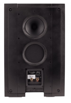 Procella P5IW In Wall Speaker back