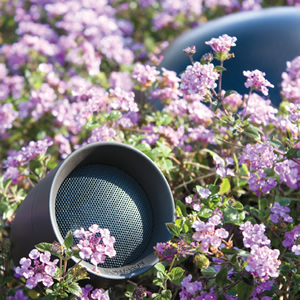 Sonance Sonarray SR1 Garden Speaker System showing a single satellite and the canopy of the buried subwoofer